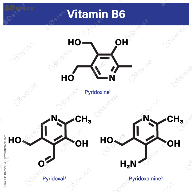 Vitamin B6, Structure of pyridoxine1, Structure of pyridoxal2, Structure of pyridoxamine3