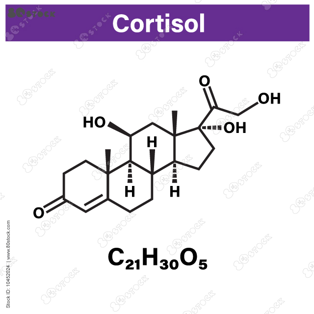Cortisol adrenal hormone structural chemical formula isolated vector