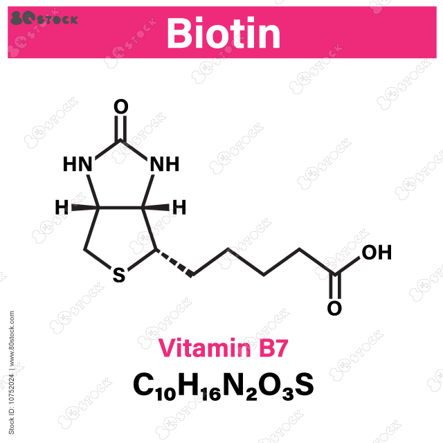 Vitamin B7 - Biotin, structural chemical formula on white background