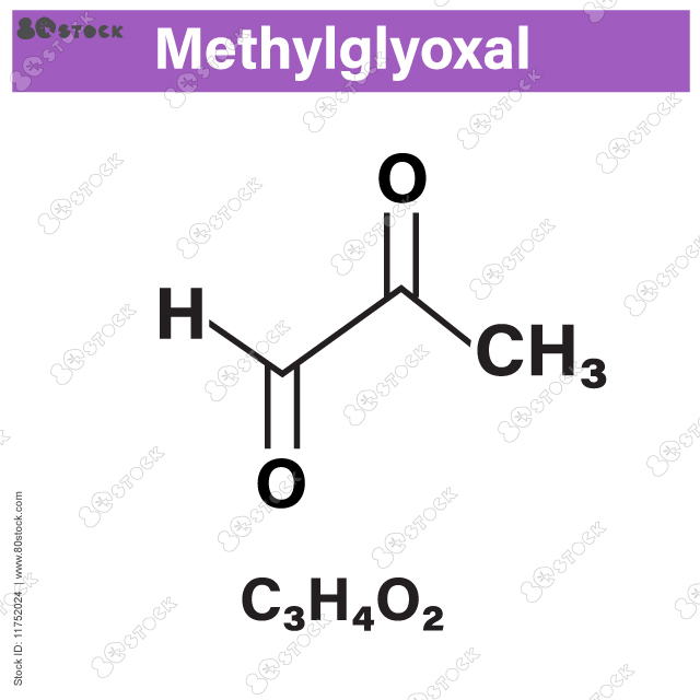 Methylglyoxal (pyruvaldehyde) molecule. Produced by glycolysis; is cytotoxic. Vector EPS 10