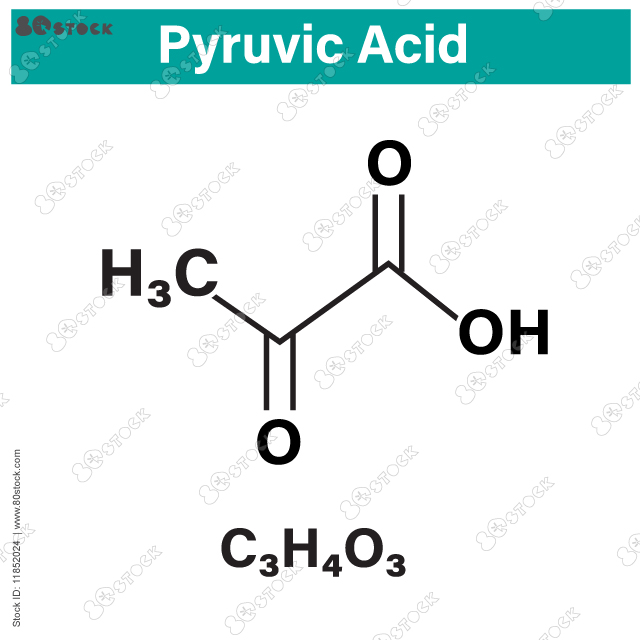 Pyruvic acid (pyruvate) molecule. Important intermediate in a number of biochemical processes. Vector EPS 10