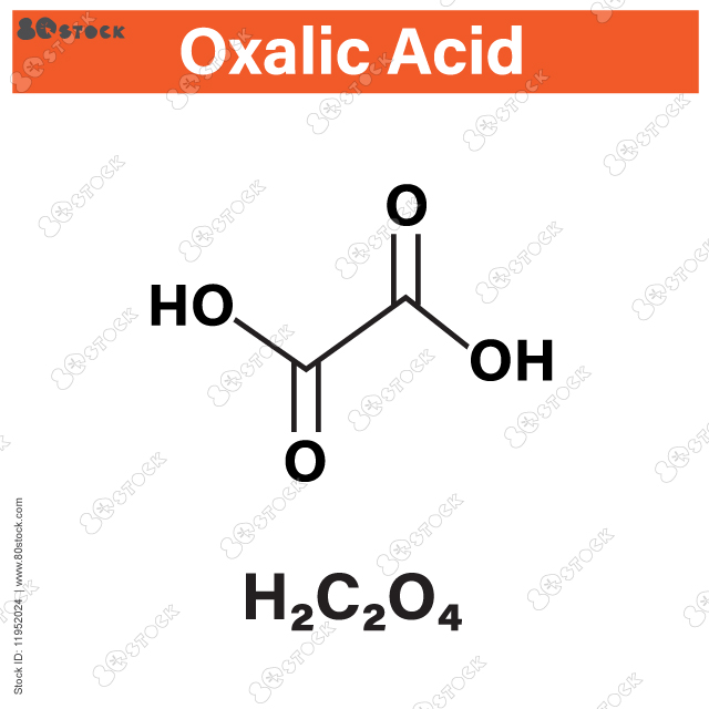 Oxalic acid molecule. Skeletal formula. Infographic of the molecule Oxalic acid. Vector EPS 10