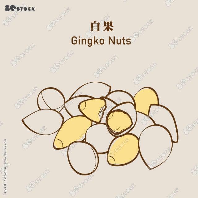 Gingko nuts with some fully peeled open. Ginkgo nuts are a type of food grown from the ginkgo biloba tree, a native Chinese plant. 白果. Vector EPS 10
