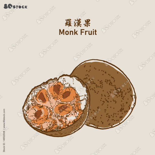 Monk fruit aka Luo Han Guo siraitia herb plant vector traditional 羅漢果. Chinese traditional herbs. Vector EPS 10