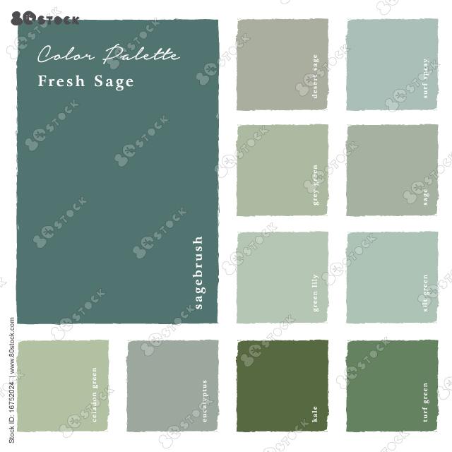Shades of the fresh sage color palette. Suitable for Branding, Interior, Invitation card, and Fashion. Vector EPS 10