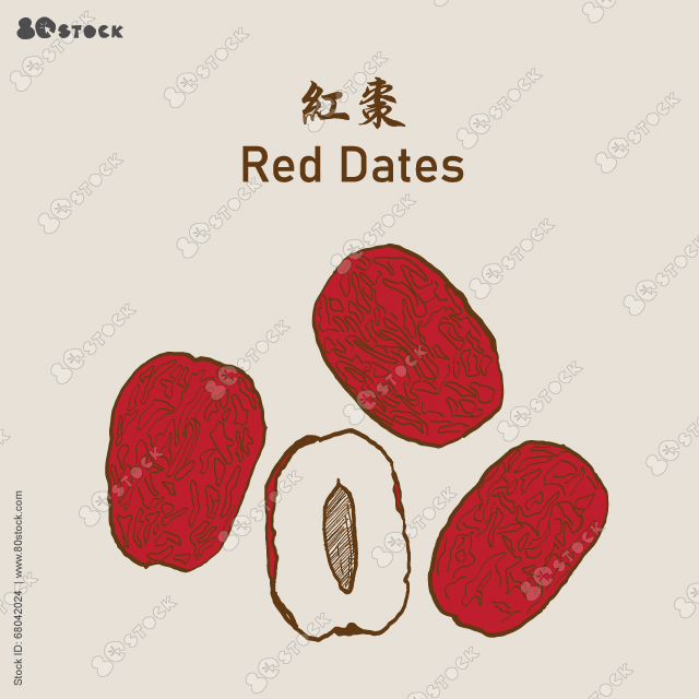 Dried jujube chinese red dates asian herbal fruits. Red jujube or red dates 紅棗. Vector EPS 10