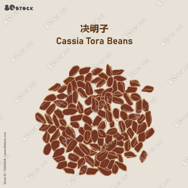 Cassia tora beans (JueMingZhi). Sicklepod or Senna obtusifolia. 決明子. Vector Illustration EPS 10