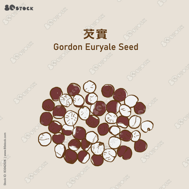 Gordon Euryale Seed (Qianshi) 芡實, Euryales Semen, Chinese herbs. Vector EPS 10