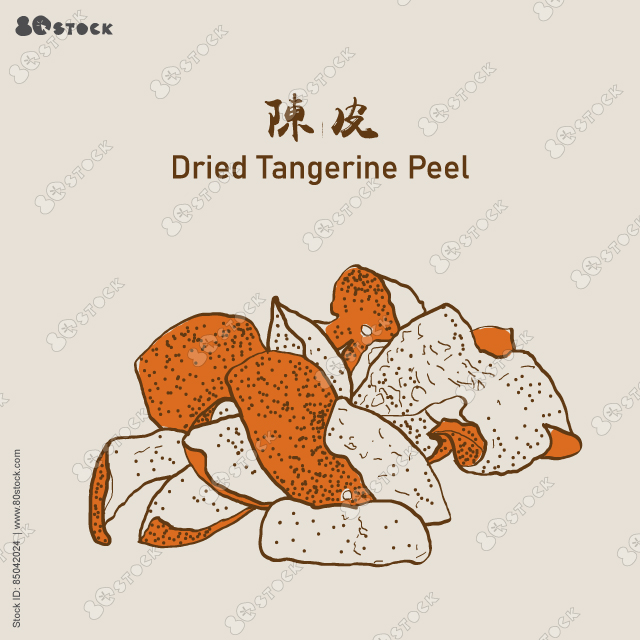 Dried tangerine peel (Chenpi), Citri Reticulatae Pericarpium 陳皮. Vector EPS 10