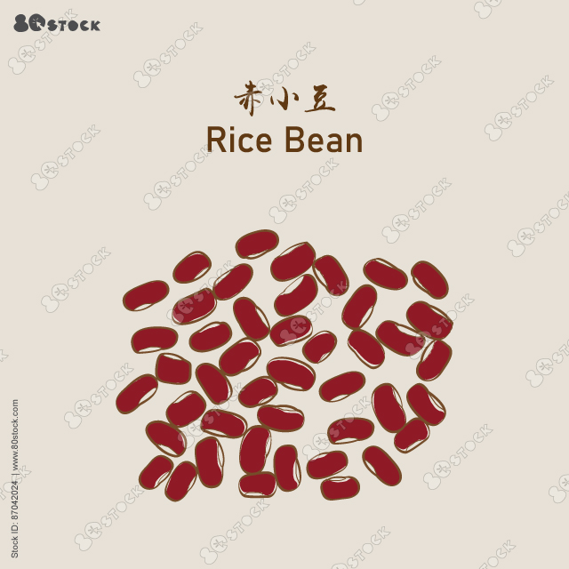 Rice Bean (Chixiaodou), dried rice bean, Chinese traditional herb medicine. 赤小豆. Vector EPS 10