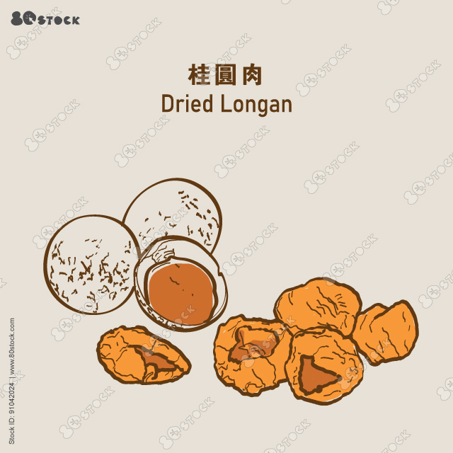 Dried longan (GuiYuanRou) longan. Chinese herb. 桂圆肉. Vector EPS 10