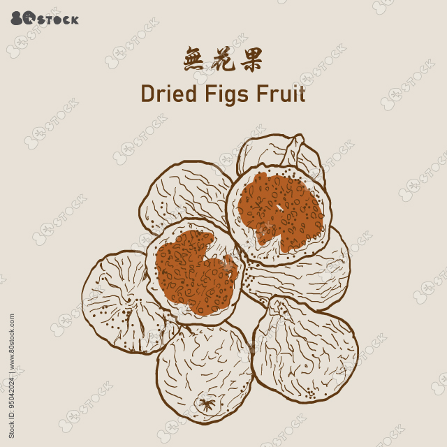 Dried figs fruit, Drawing of dried fig fruits. 無花果. Vector EPS 10